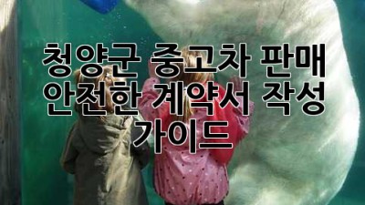 청양군 중고차 판매, 안전한 계약서 작성 가이드